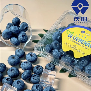 蓝莓产品